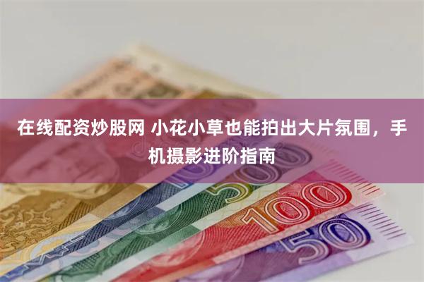 在线配资炒股网 小花小草也能拍出大片氛围，手机摄影进阶指南