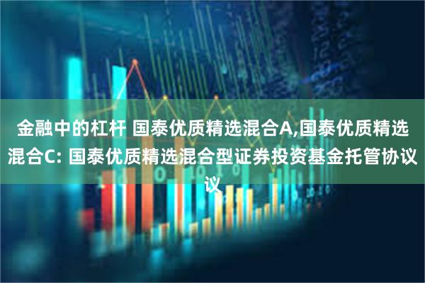 金融中的杠杆 国泰优质精选混合A,国泰优质精选混合C: 国泰优质精选混合型证券投资基金托管协议