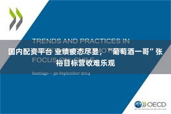 国内配资平台 业绩疲态尽显，“葡萄酒一哥”张裕目标营收难乐观