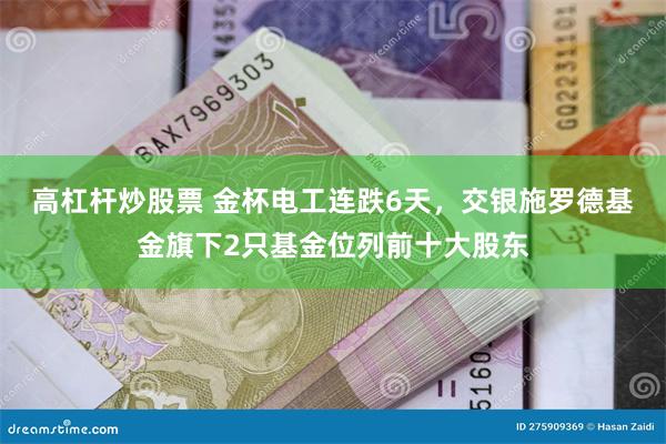 高杠杆炒股票 金杯电工连跌6天，交银施罗德基金旗下2只基金位列前十大股东