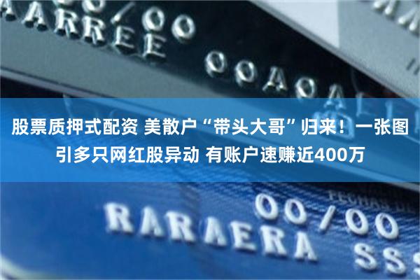 股票质押式配资 美散户“带头大哥”归来！一张图引多只网红股异动 有账户速赚近400万