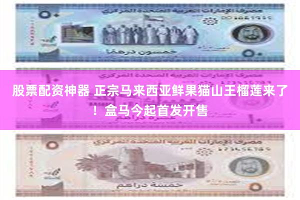 股票配资神器 正宗马来西亚鲜果猫山王榴莲来了！盒马今起首发开售