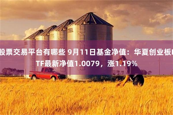 股票交易平台有哪些 9月11日基金净值：华夏创业板ETF最新净值1.0079，涨1.19%