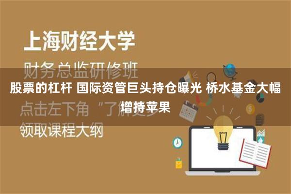 股票的杠杆 国际资管巨头持仓曝光 桥水基金大幅增持苹果