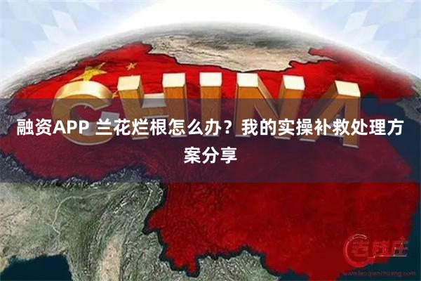 融资APP 兰花烂根怎么办？我的实操补救处理方案分享