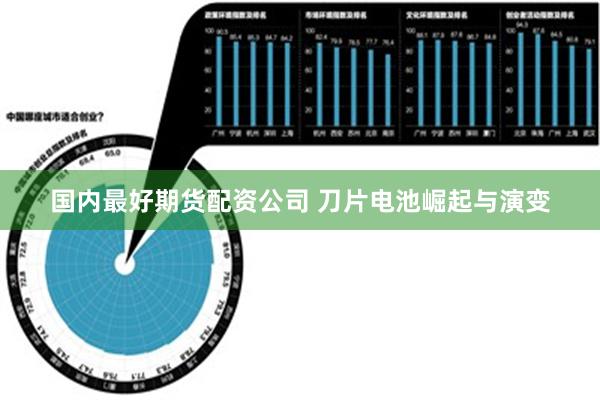 国内最好期货配资公司 刀片电池崛起与演变