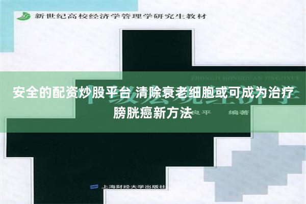 安全的配资炒股平台 清除衰老细胞或可成为治疗膀胱癌新方法