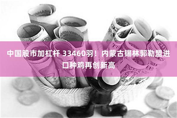 中国股市加杠杆 33460羽！内蒙古锡林郭勒盟进口种鸡再创新高