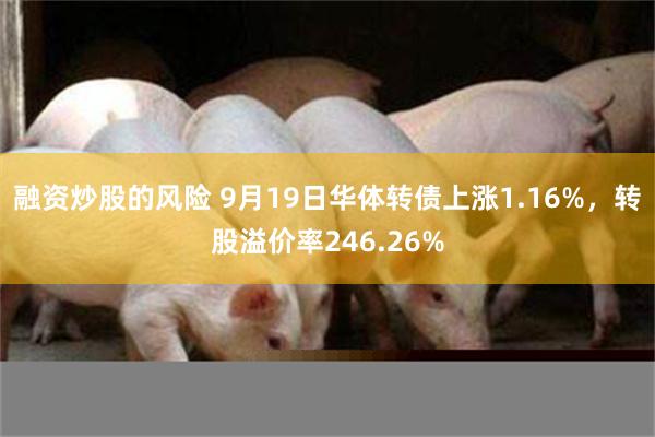融资炒股的风险 9月19日华体转债上涨1.16%，转股溢价率246.26%