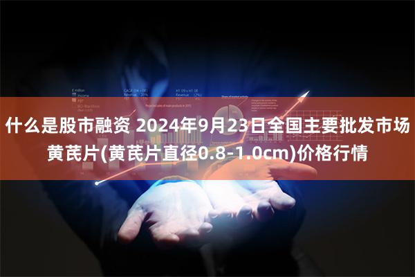 什么是股市融资 2024年9月23日全国主要批发市场黄芪片(黄芪片直径0.8-1.0cm)价格行情
