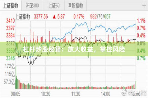 杠杆炒股秘籍：放大收益，掌控风险