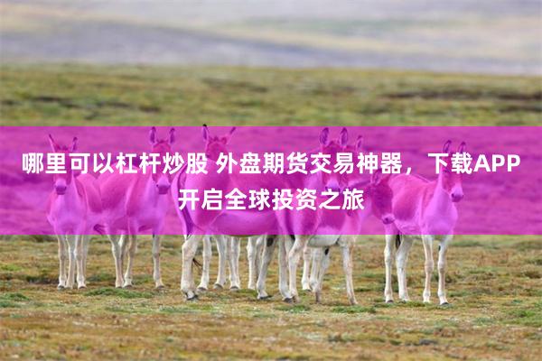 哪里可以杠杆炒股 外盘期货交易神器，下载APP开启全球投资之旅