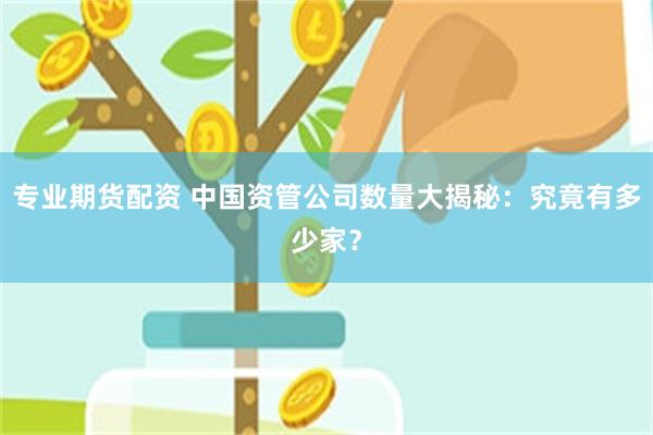 专业期货配资 中国资管公司数量大揭秘：究竟有多少家？
