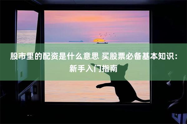 股市里的配资是什么意思 买股票必备基本知识：新手入门指南