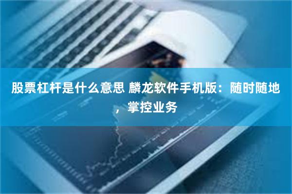 股票杠杆是什么意思 麟龙软件手机版：随时随地，掌控业务