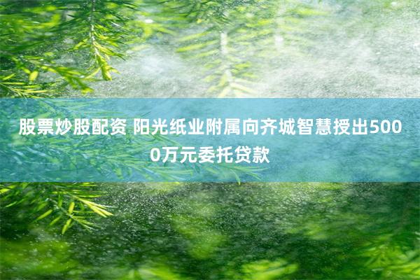 股票炒股配资 阳光纸业附属向齐城智慧授出5000万元委托贷款