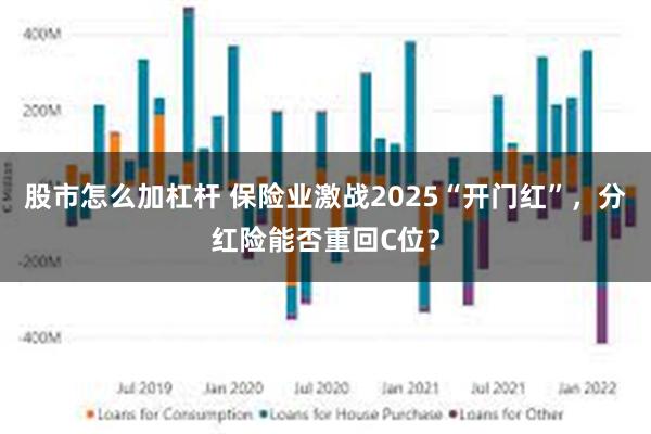股市怎么加杠杆 保险业激战2025“开门红”，分红险能否重回C位？