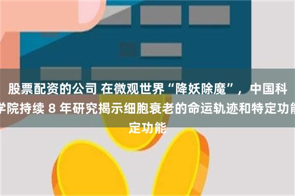 股票配资的公司 在微观世界“降妖除魔”，中国科学院持续 8 年研究揭示细胞衰老的命运轨迹和特定功能