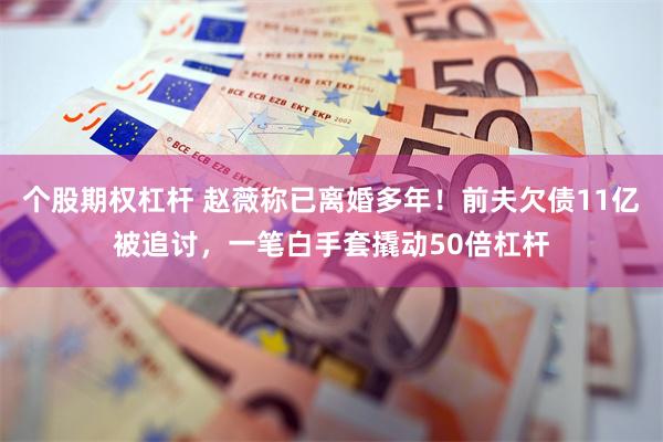 个股期权杠杆 赵薇称已离婚多年！前夫欠债11亿被追讨，一笔白手套撬动50倍杠杆