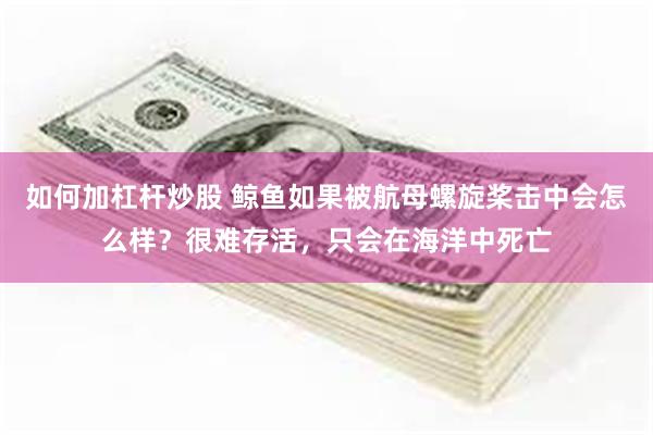 如何加杠杆炒股 鲸鱼如果被航母螺旋桨击中会怎么样？很难存活，只会在海洋中死亡