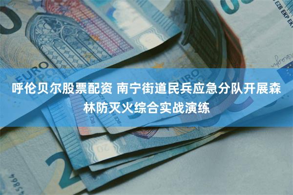 呼伦贝尔股票配资 南宁街道民兵应急分队开展森林防灭火综合实战演练