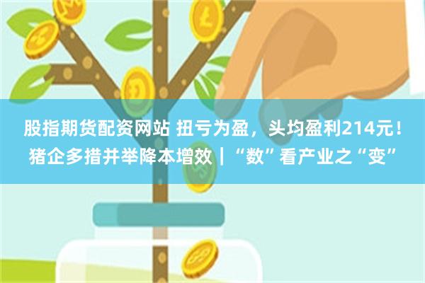 股指期货配资网站 扭亏为盈，头均盈利214元！猪企多措并举降本增效｜“数”看产业之“变”