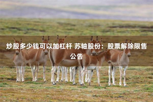 炒股多少钱可以加杠杆 苏轴股份：股票解除限售公告