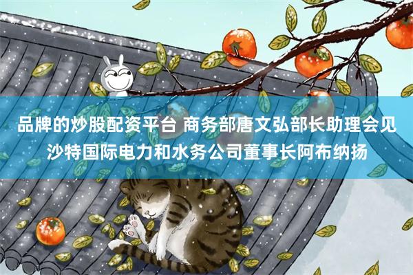 品牌的炒股配资平台 商务部唐文弘部长助理会见沙特国际电力和水务公司董事长阿布纳扬