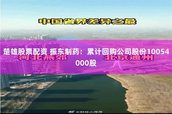 楚雄股票配资 振东制药：累计回购公司股份10054000股