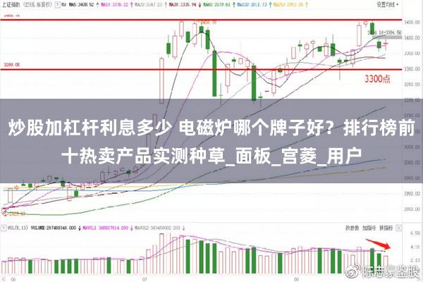 炒股加杠杆利息多少 电磁炉哪个牌子好？排行榜前十热卖产品实测种草_面板_宫菱_用户