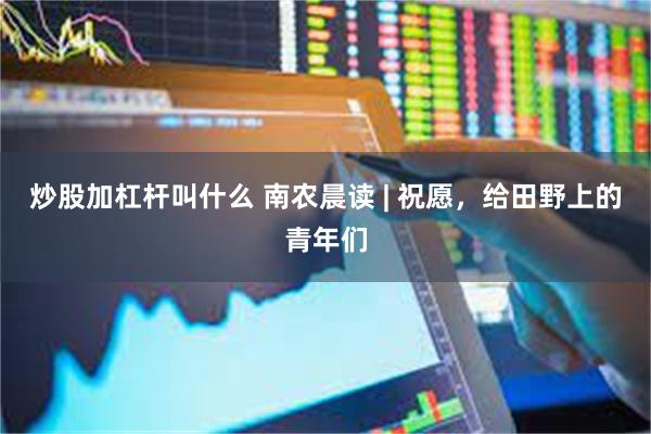 炒股加杠杆叫什么 南农晨读 | 祝愿，给田野上的青年们