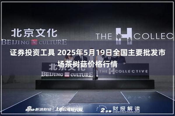 证券投资工具 2025年5月19日全国主要批发市场茶树菇价格行情