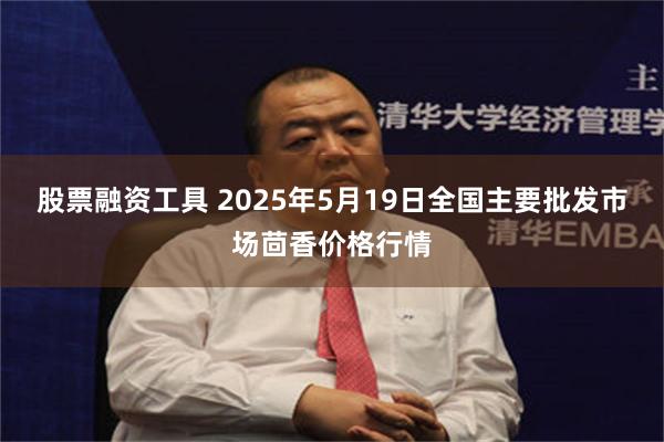 股票融资工具 2025年5月19日全国主要批发市场茴香价格行情