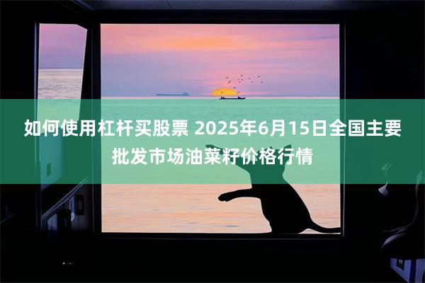 如何使用杠杆买股票 2025年6月15日全国主要批发市场油菜籽价格行情