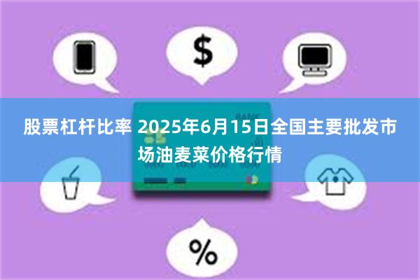 股票杠杆比率 2025年6月15日全国主要批发市场油麦菜价格行情