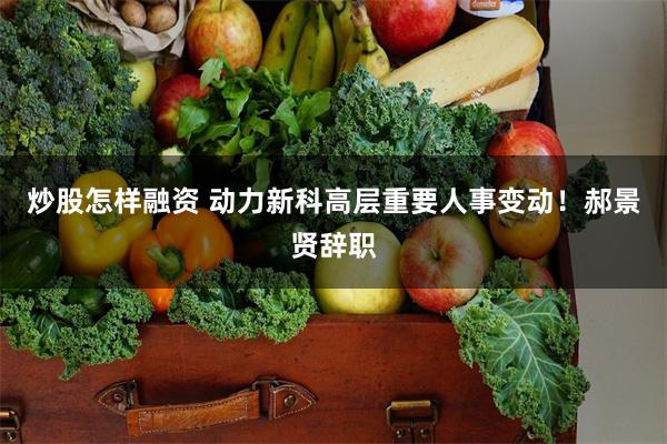 炒股怎样融资 动力新科高层重要人事变动！郝景贤辞职