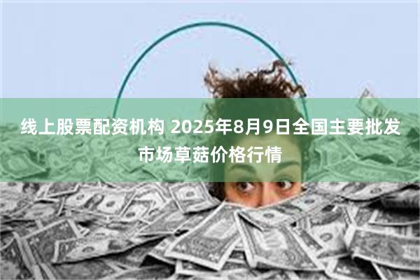 线上股票配资机构 2025年8月9日全国主要批发市场草菇价格行情