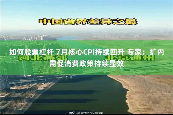 如何股票杠杆 7月核心CPI持续回升 专家：扩内需促消费政策持续显效