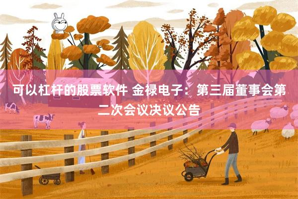 可以杠杆的股票软件 金禄电子：第三届董事会第二次会议决议公告