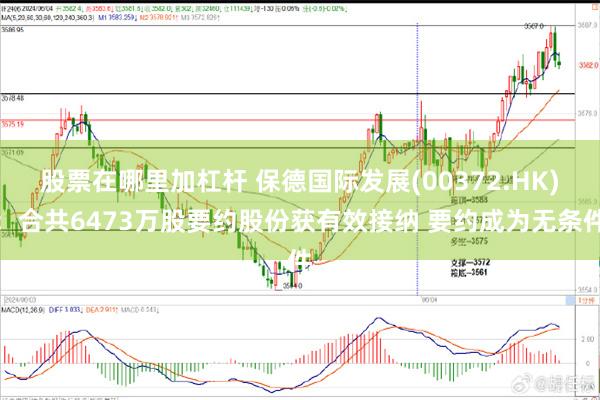 股票在哪里加杠杆 保德国际发展(00372.HK)：合共6473万股要约股份获有效接纳 要约成为无条件