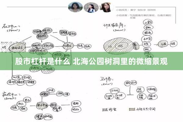 股市杠杆是什么 北海公园树洞里的微缩景观