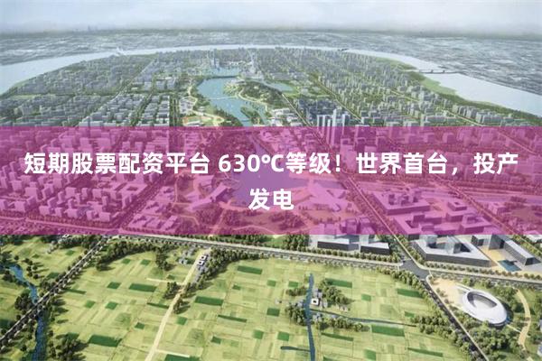 短期股票配资平台 630℃等级！世界首台，投产发电