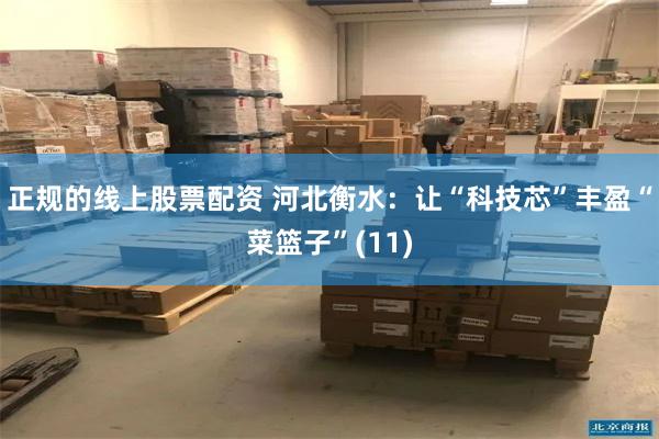 正规的线上股票配资 河北衡水：让“科技芯”丰盈“菜篮子”(11)