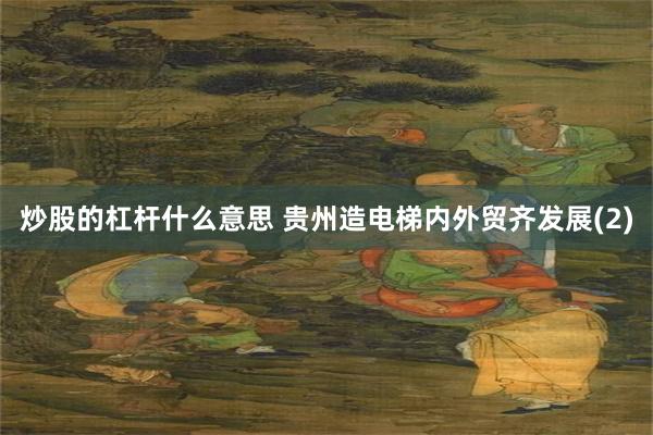 炒股的杠杆什么意思 贵州造电梯内外贸齐发展(2)