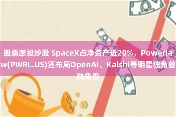 股票跟投炒股 SpaceX占净资产近20%，Powerlaw(PWRL.US)还布局OpenAI、Kalshi等明星独角兽