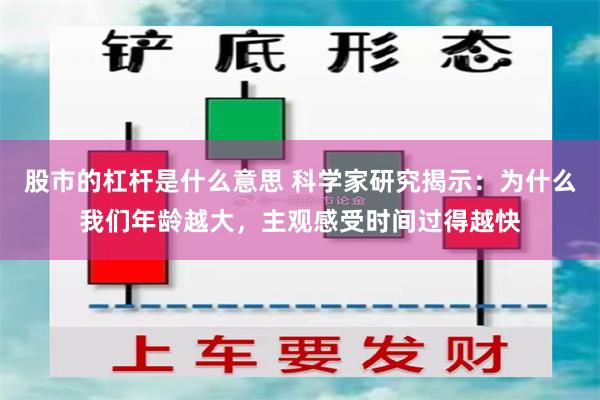 股市的杠杆是什么意思 科学家研究揭示：为什么我们年龄越大，主观感受时间过得越快