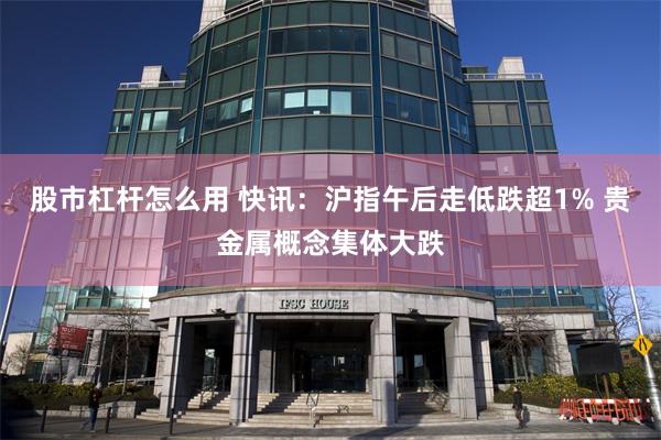 股市杠杆怎么用 快讯:沪指午后走低跌超1% 贵金属概念集体大跌