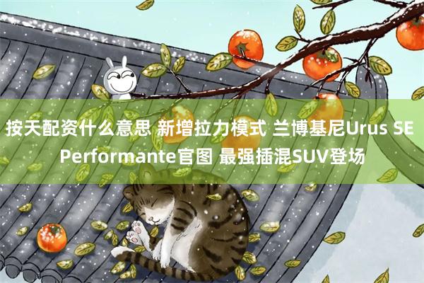 按天配资什么意思 新增拉力模式 兰博基尼Urus SE Performante官图 最强插混SUV登场