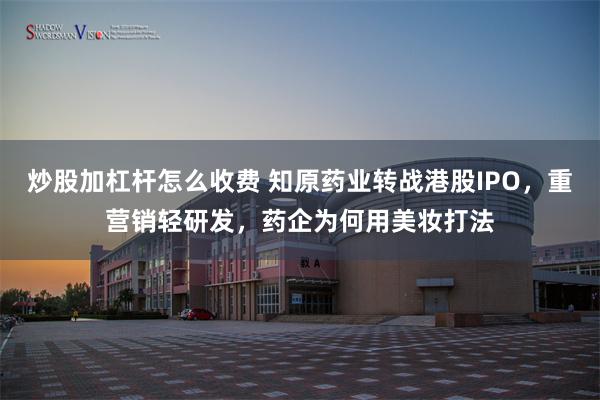 炒股加杠杆怎么收费 知原药业转战港股IPO，重营销轻研发，药企为何用美妆打法