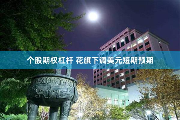 个股期权杠杆 花旗下调美元短期预期